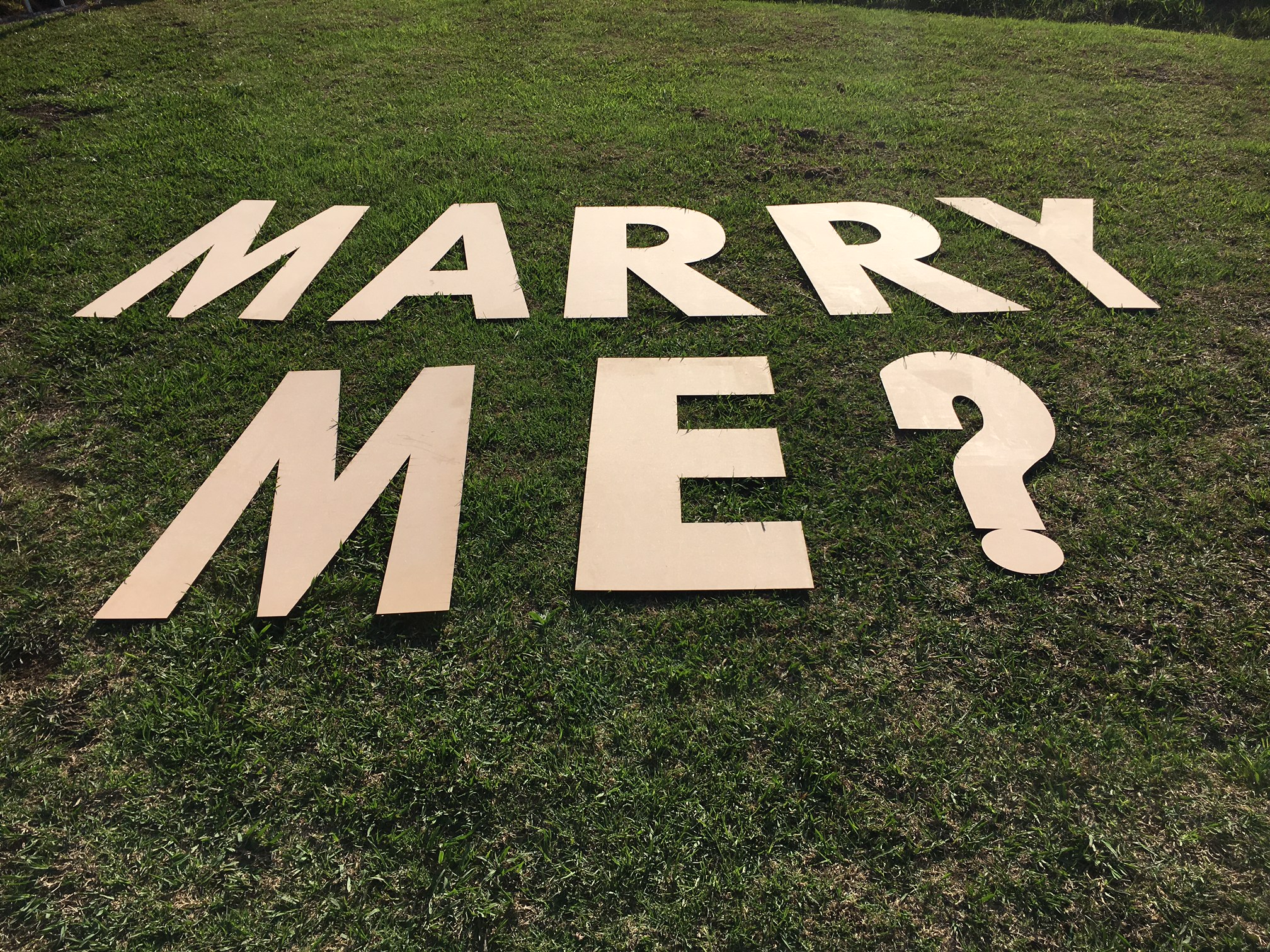 Marry me sign - The Perfect Proposal 