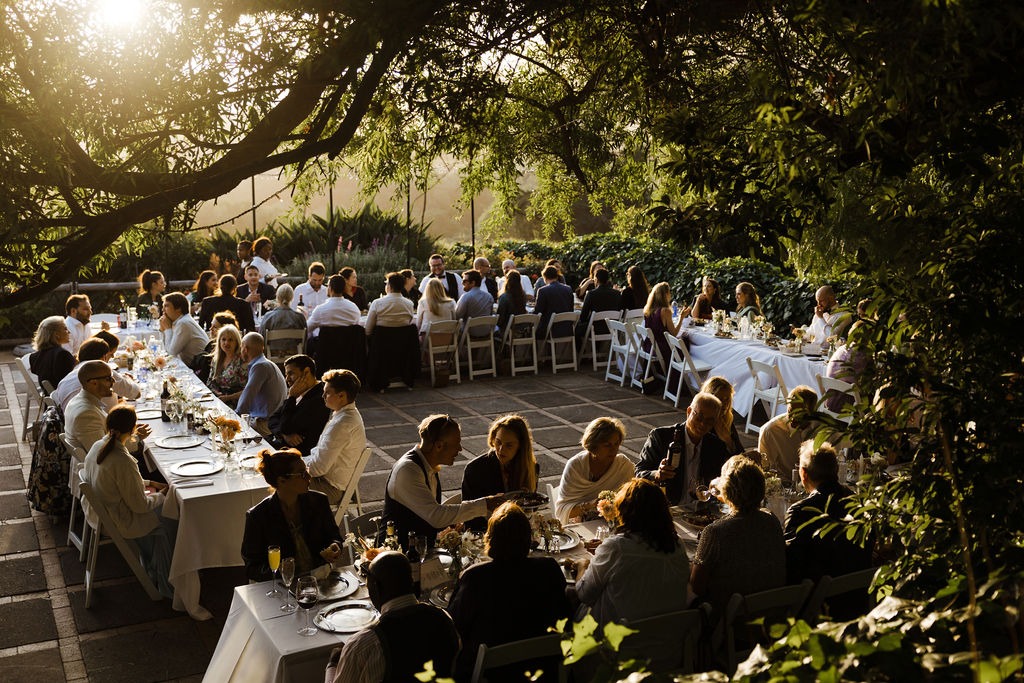reception dinner