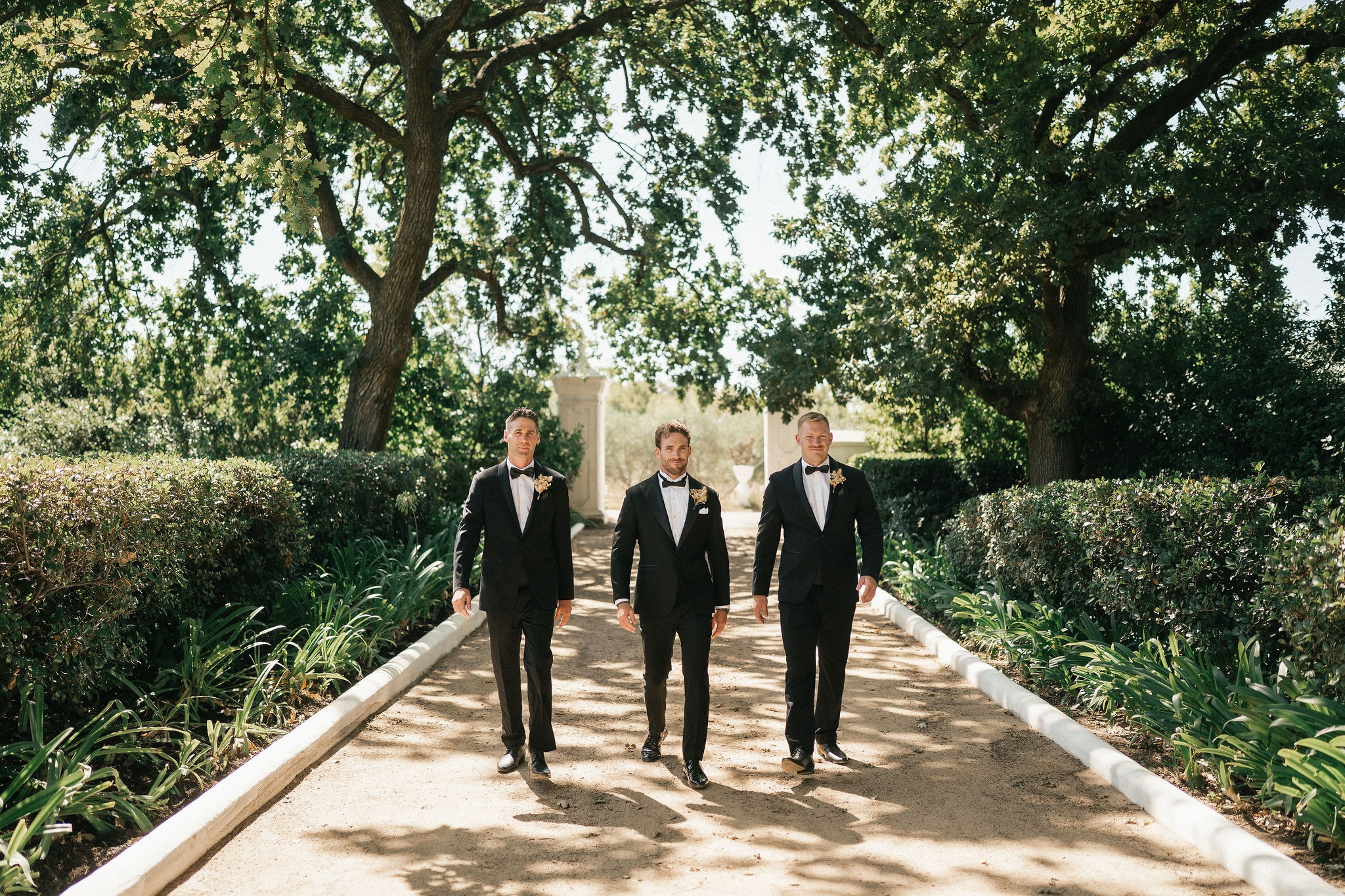 the groom