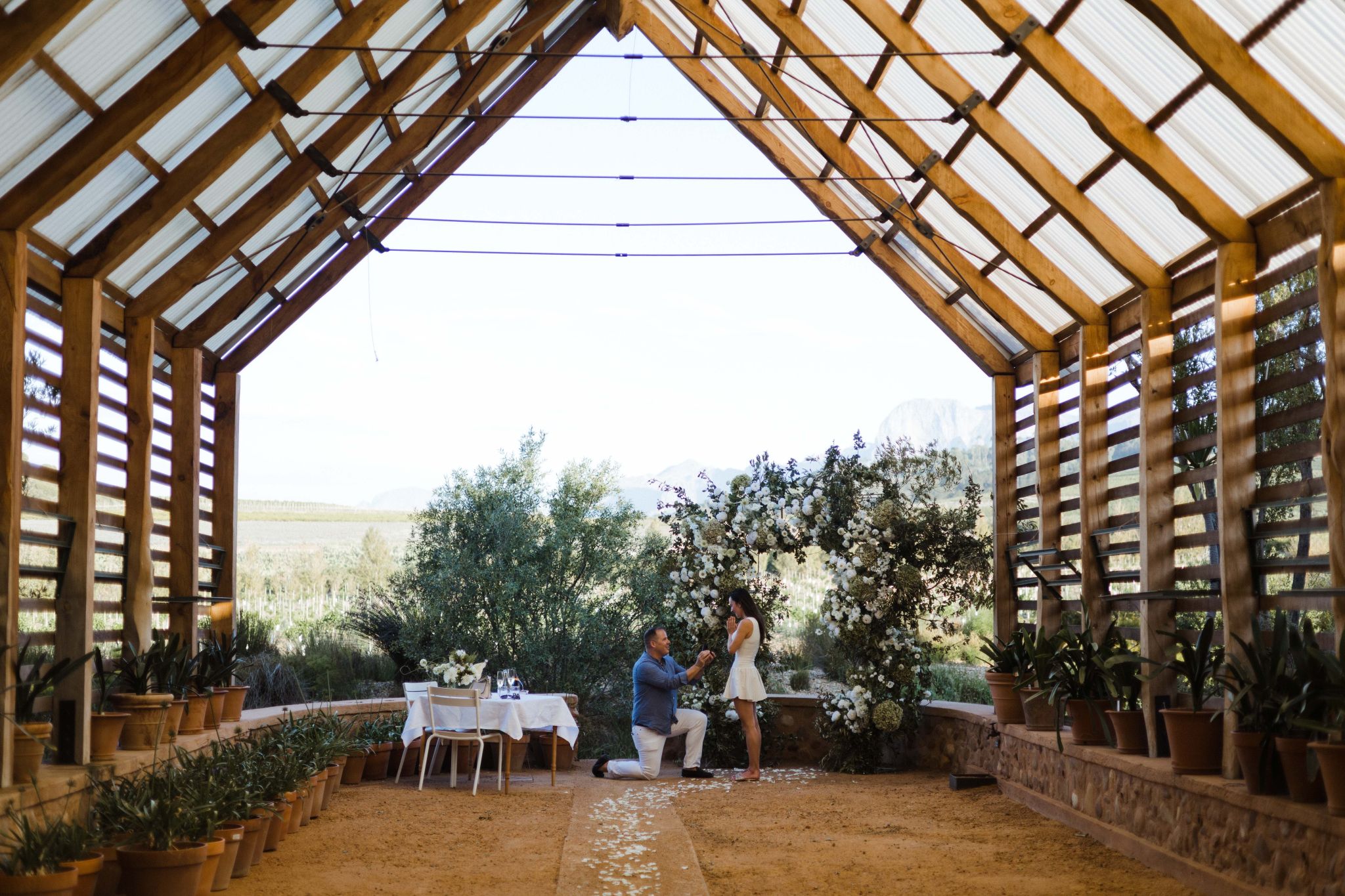 Intimate Proposal at Babylonstoren
