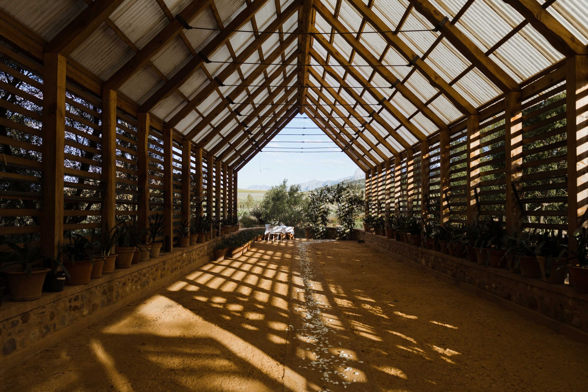 Intimate Proposal at Babylonstoren