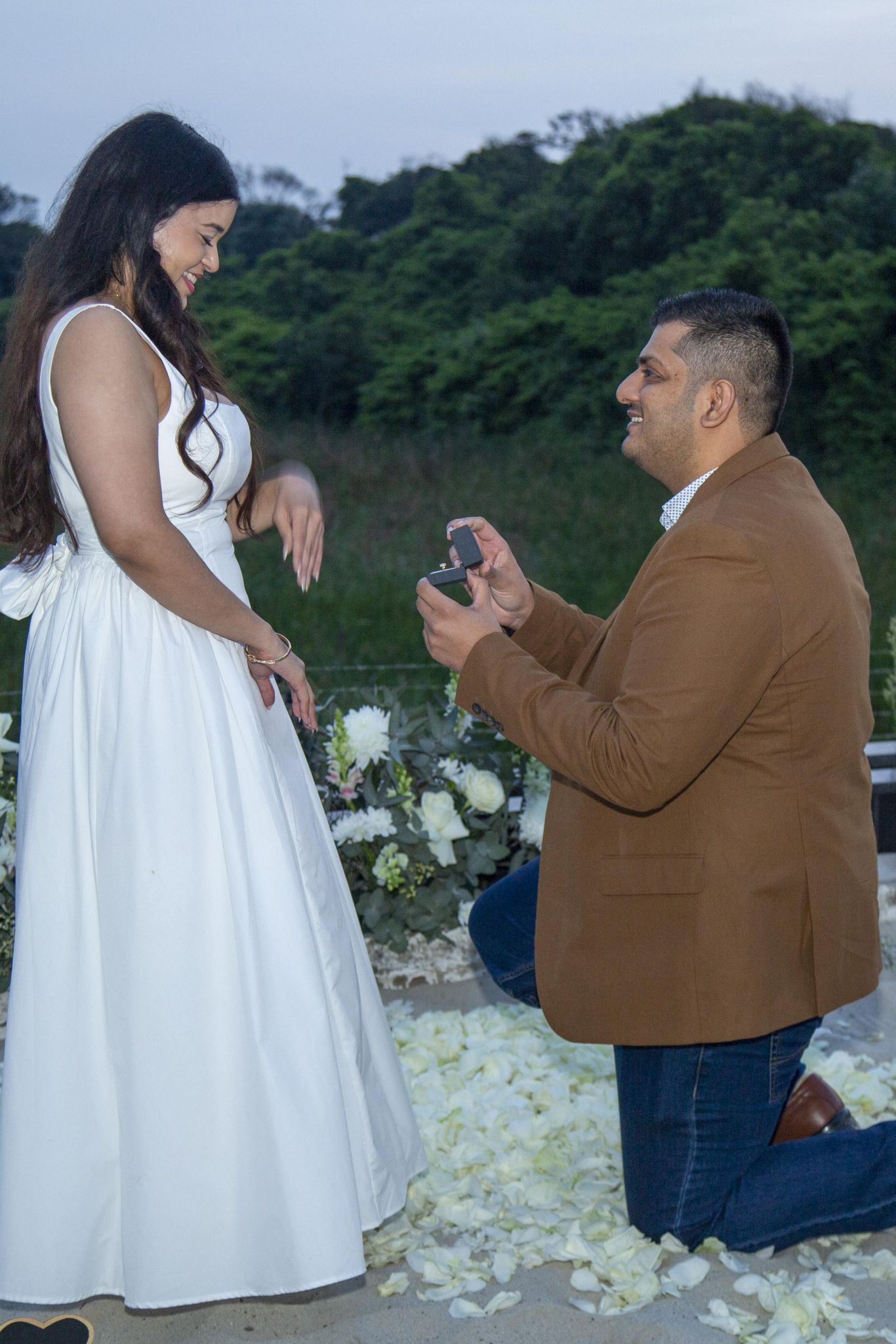 Yasteel and Serena proposal